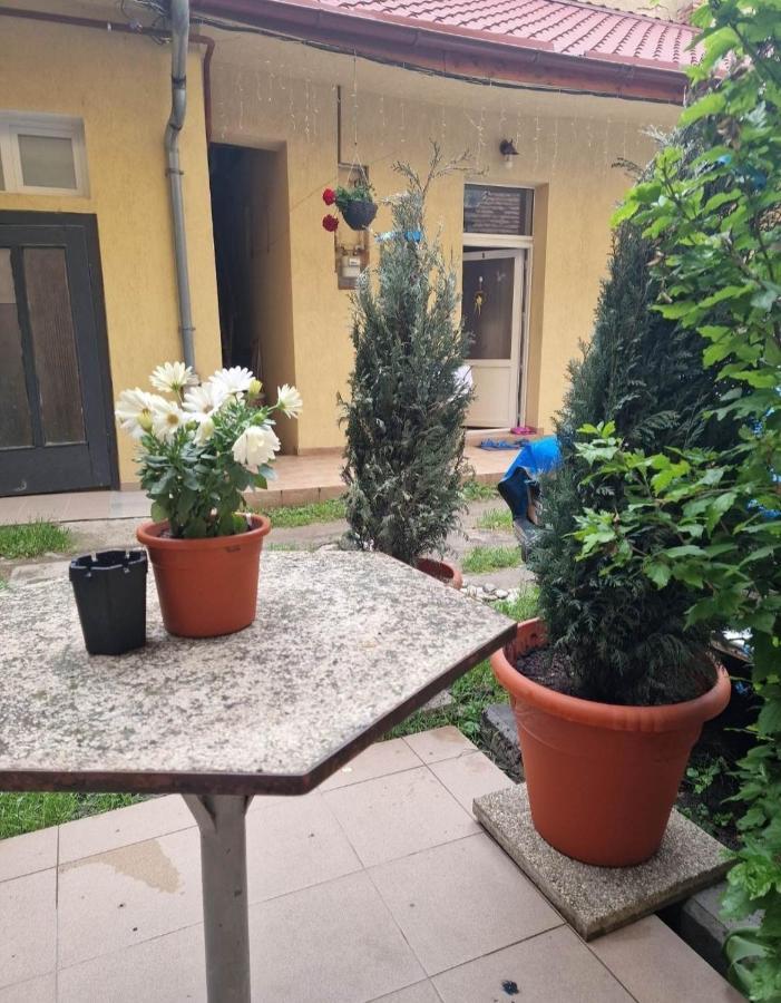 Apartament Central Traian Mosoiu , Parcare Proprie Cluj-Napoca Exteriör bild